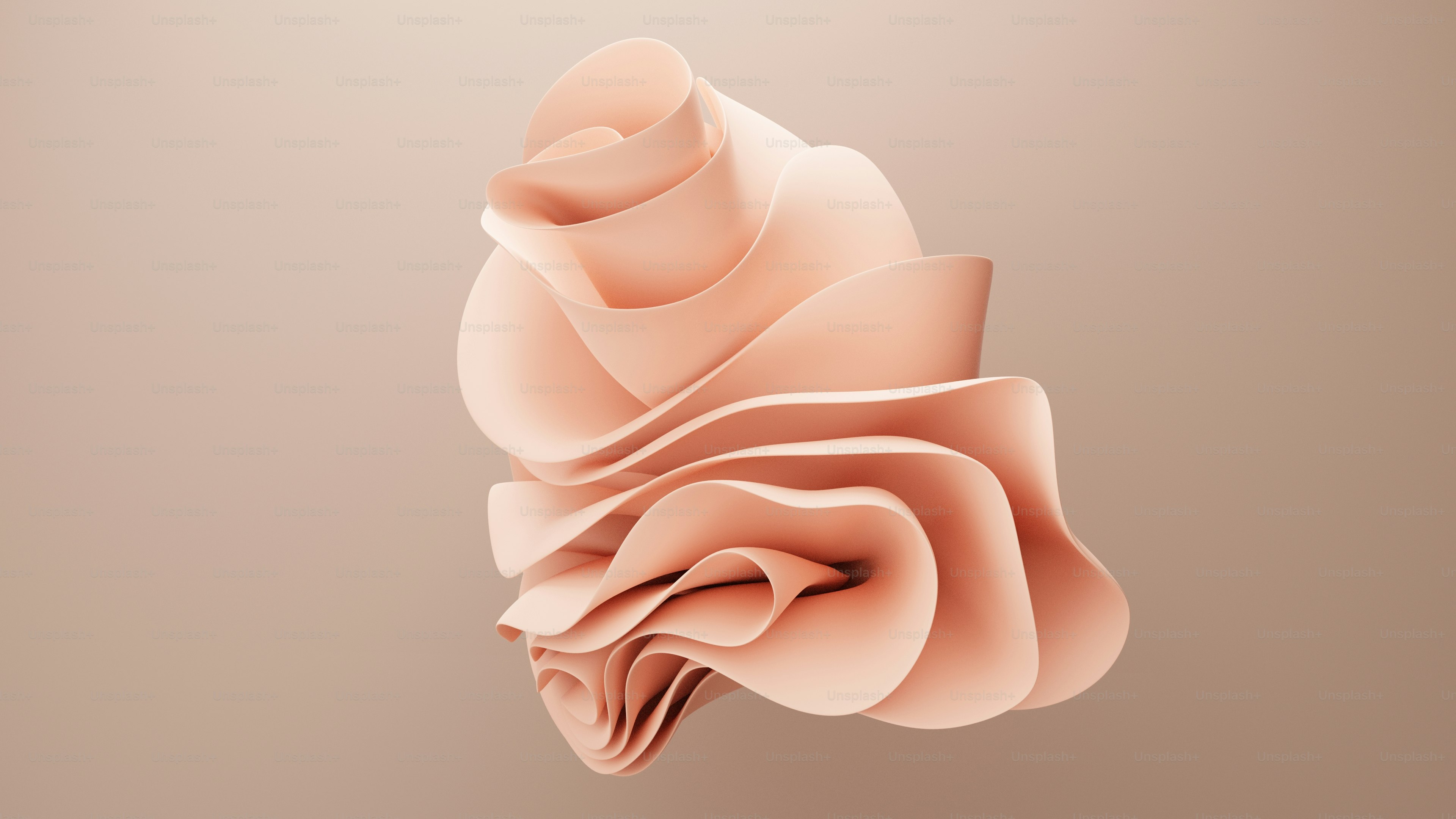 une rose rose sur fond brun