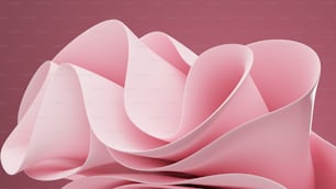 um close up de uma flor rosa em um fundo rosa