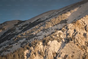 a snow covered mountain with trees on the side