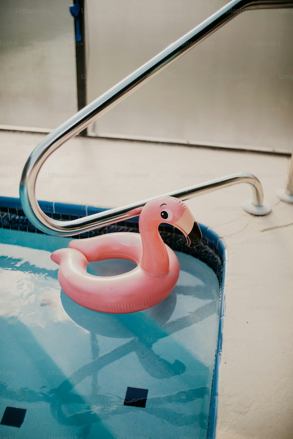 a pink flamingo floating in a blue pool