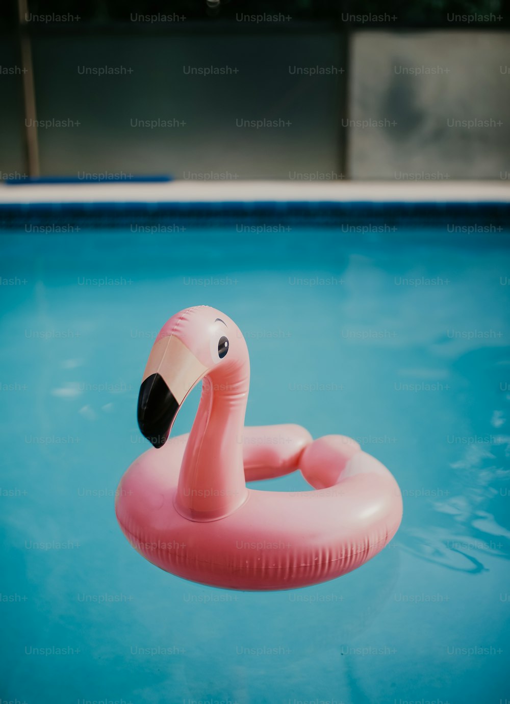 an inflatable flamingo floats in a pool