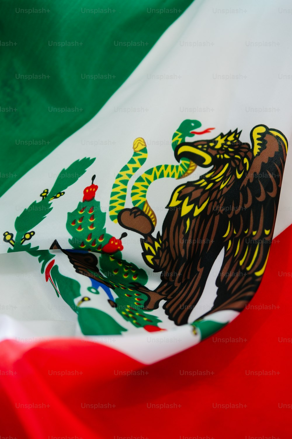 a close up of the flag of mexico