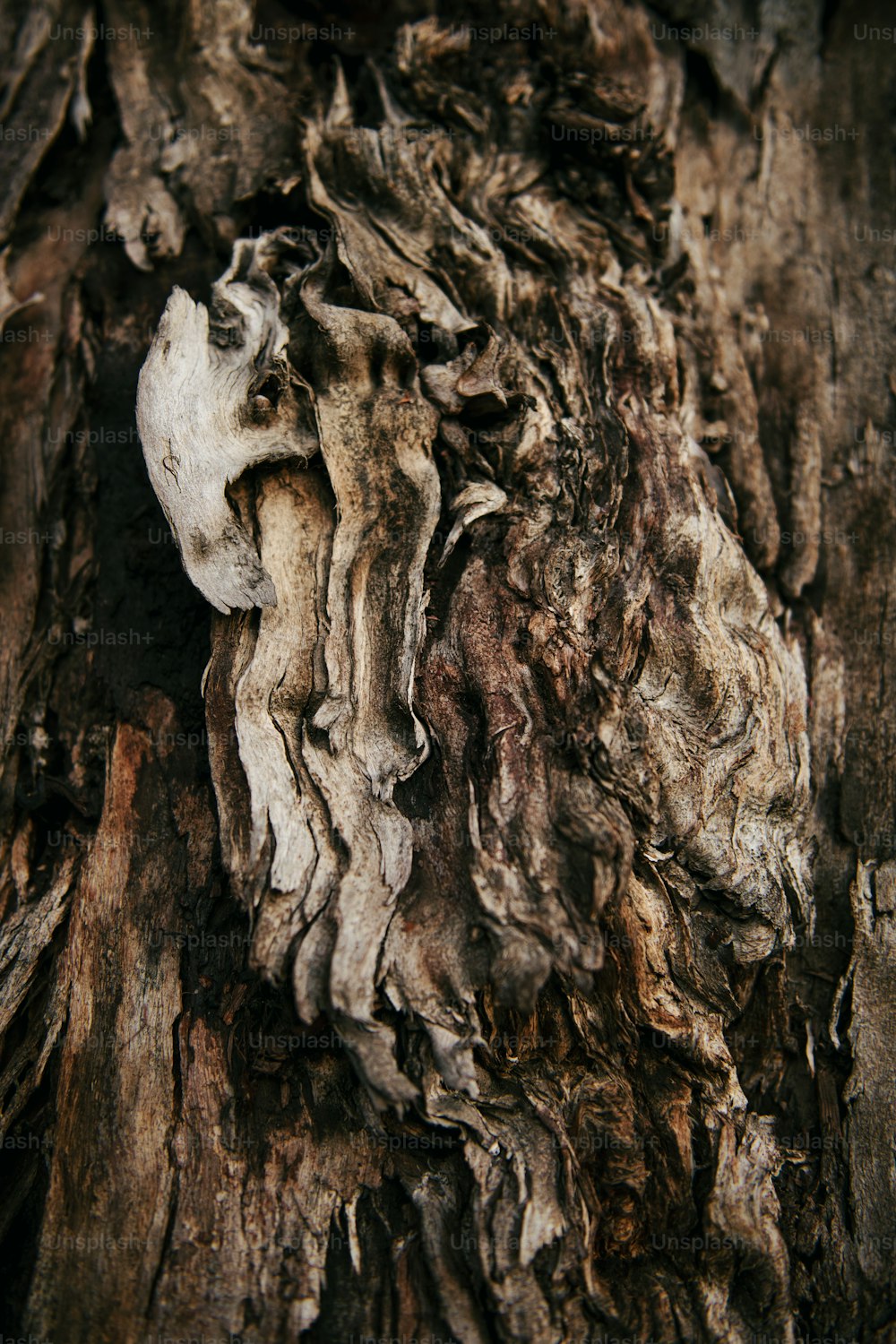 a close up of a tree trunk with a bird perched on top of it