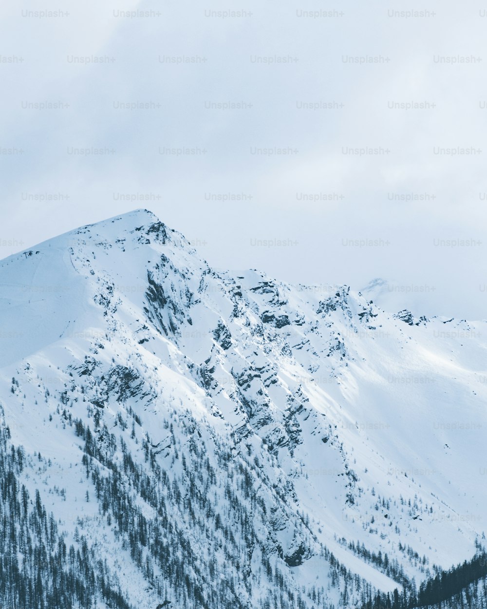 Una montagna coperta di neve e alberi sotto un cielo nuvoloso