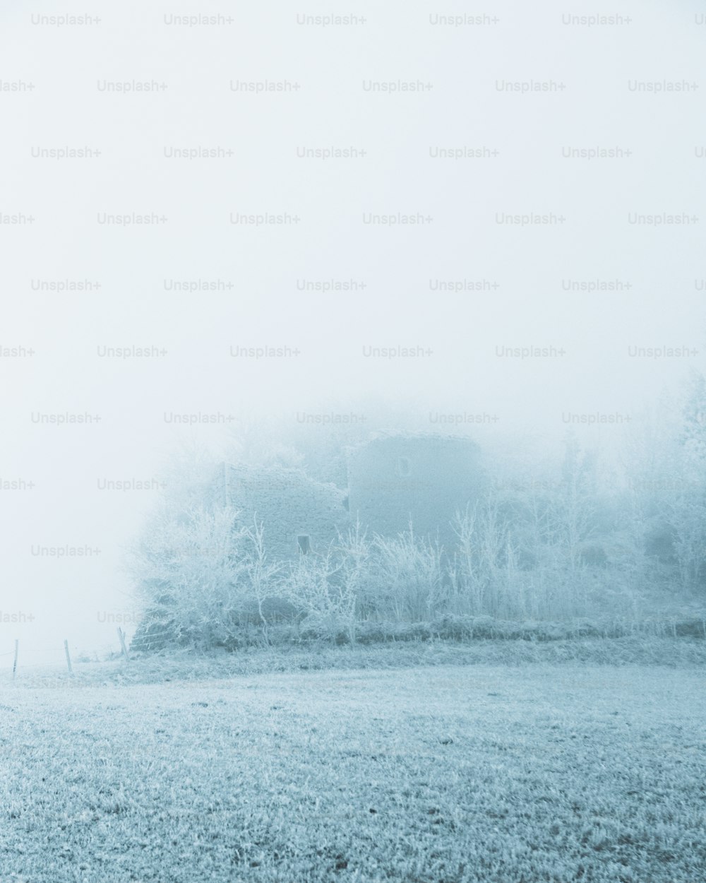 a horse standing in a foggy field