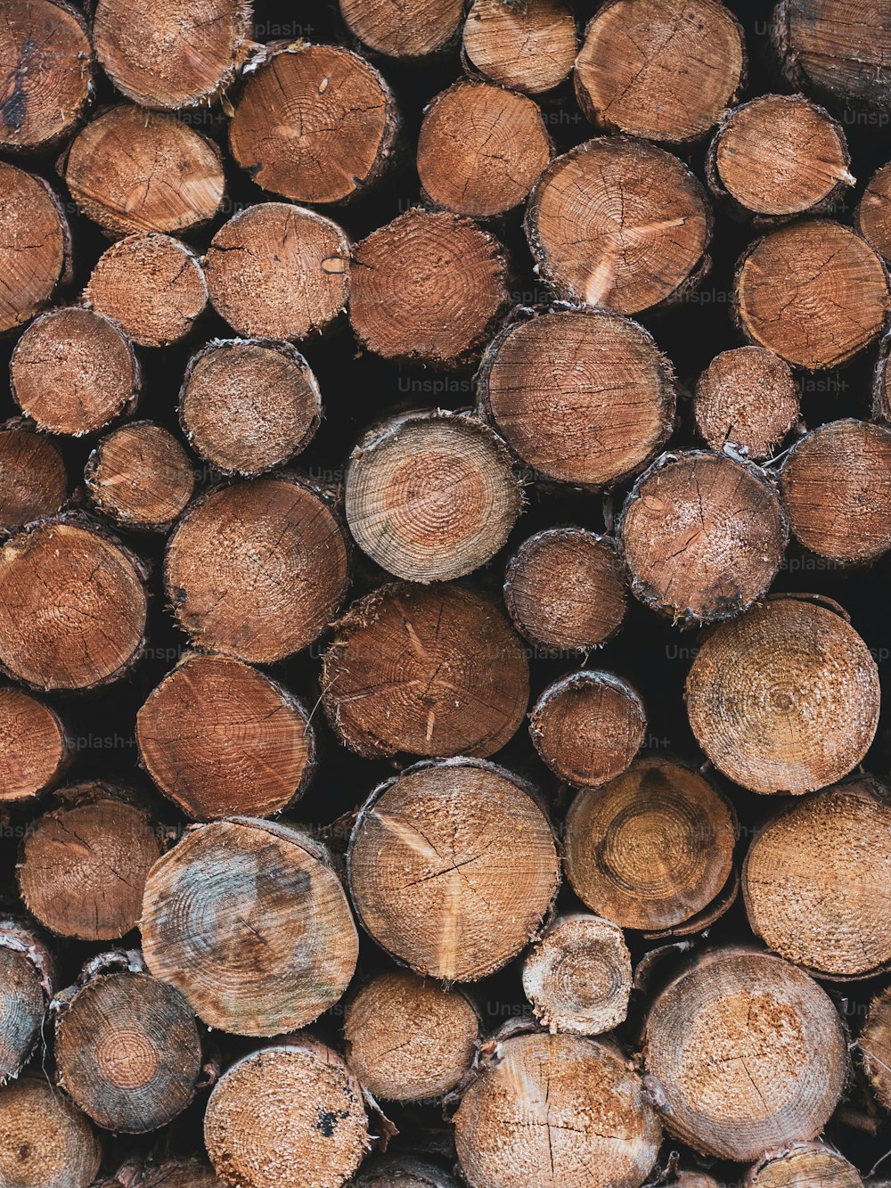 a pile of wood that has been cut down