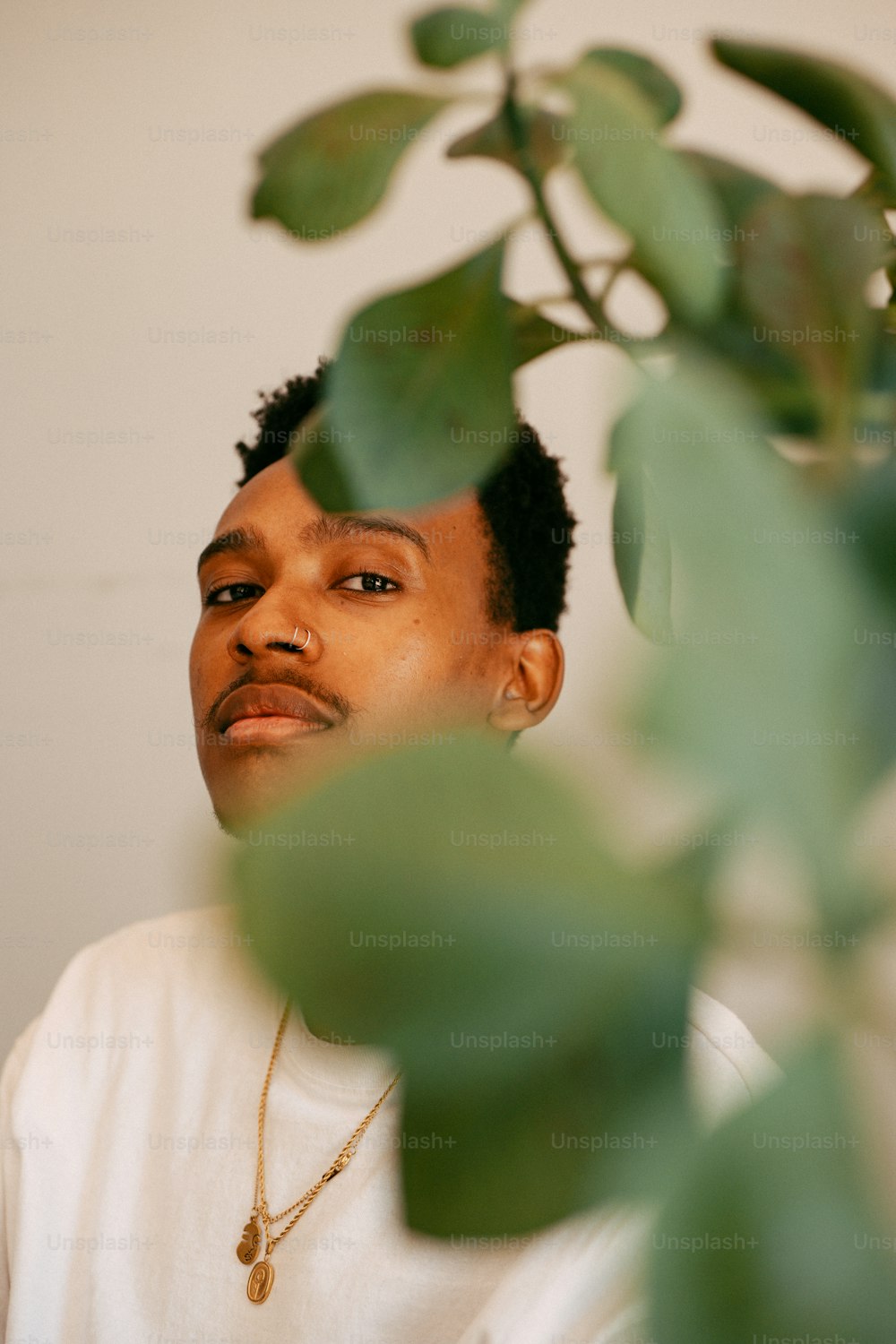 a man is looking up at a plant