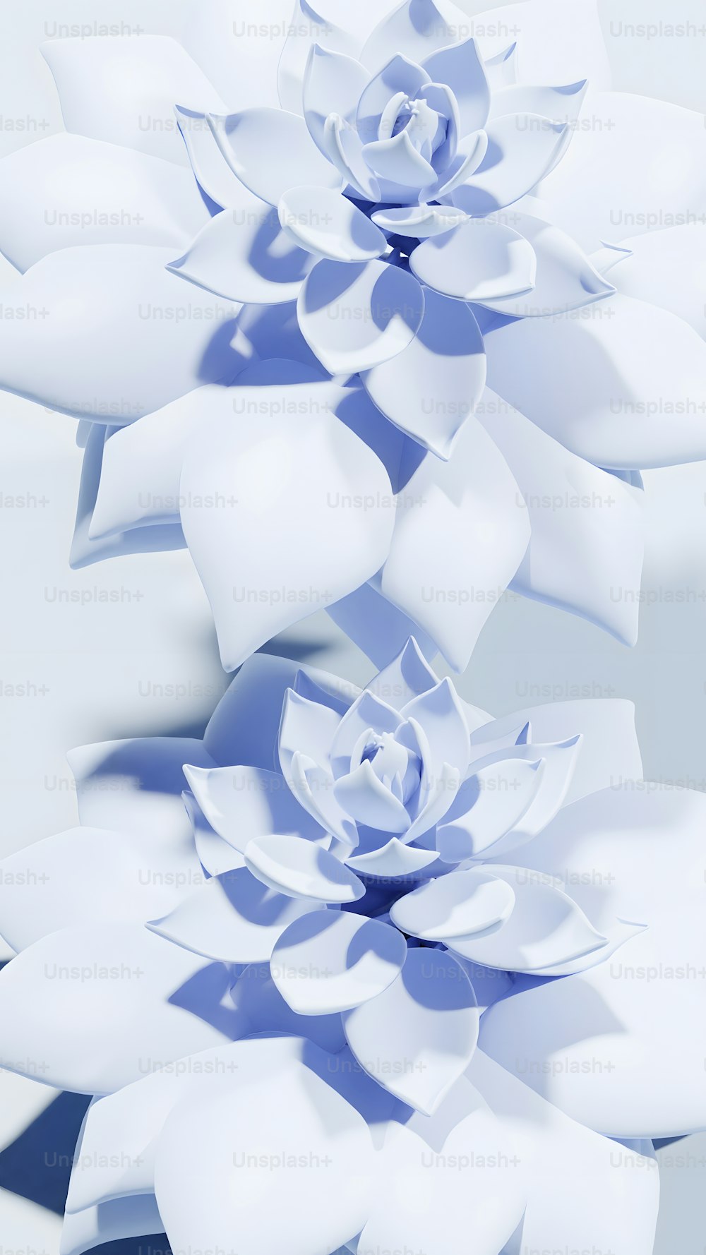 une grande fleur blanche posée sur une table