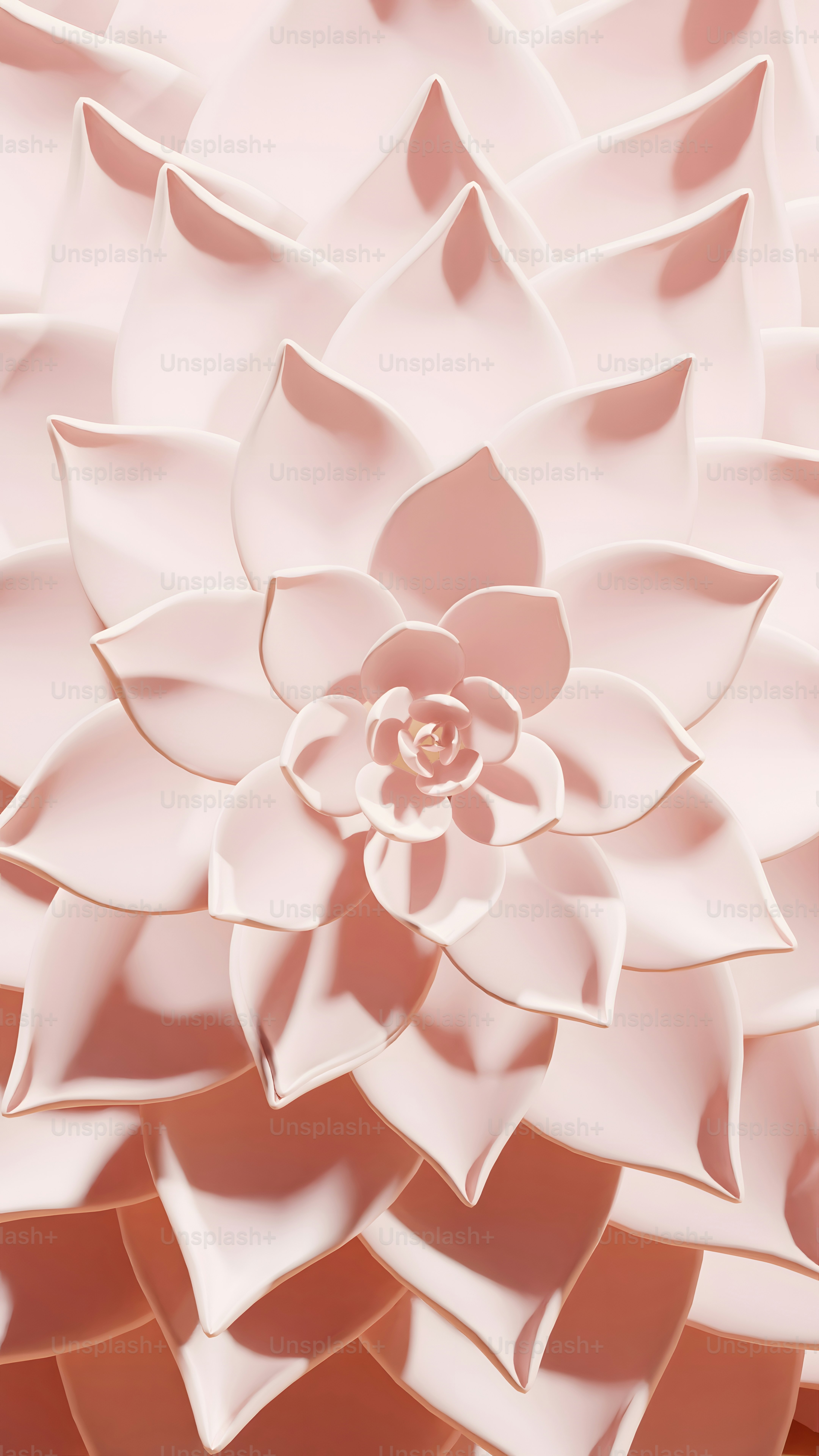 Un primo piano di un fiore su uno sfondo rosa