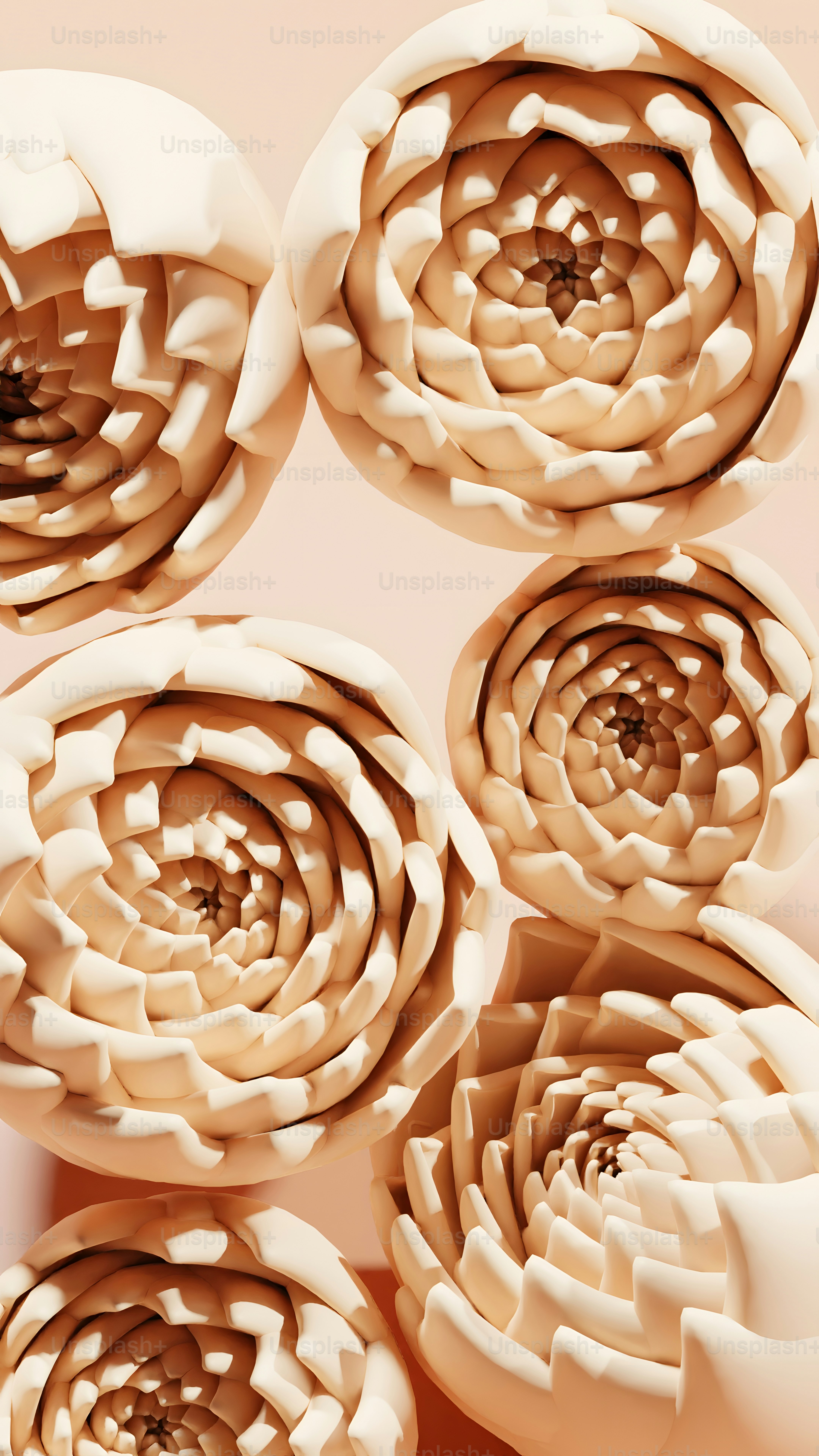 a group of white flowers sitting on top of a table