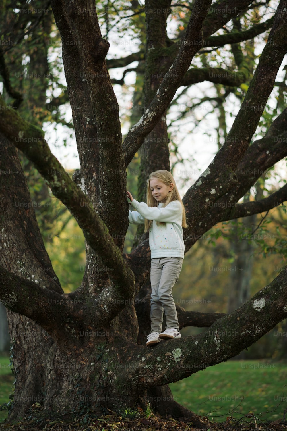 a little girl standing on a tree branch