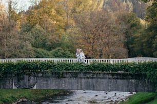 a couple of people that are standing on a bridge