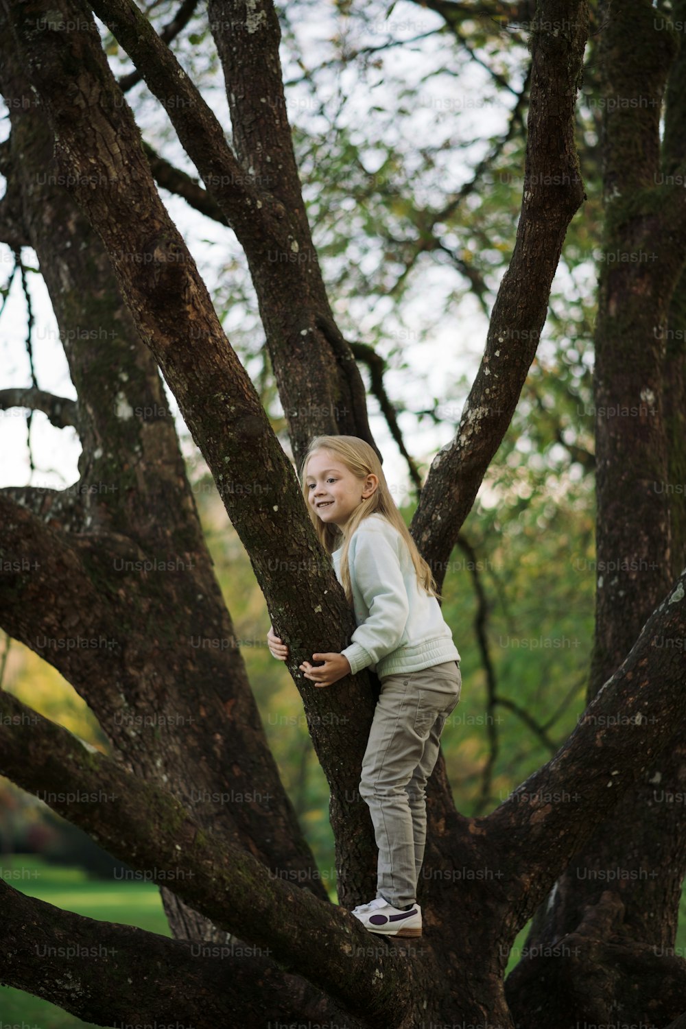 a young girl climbing up a tree in a park