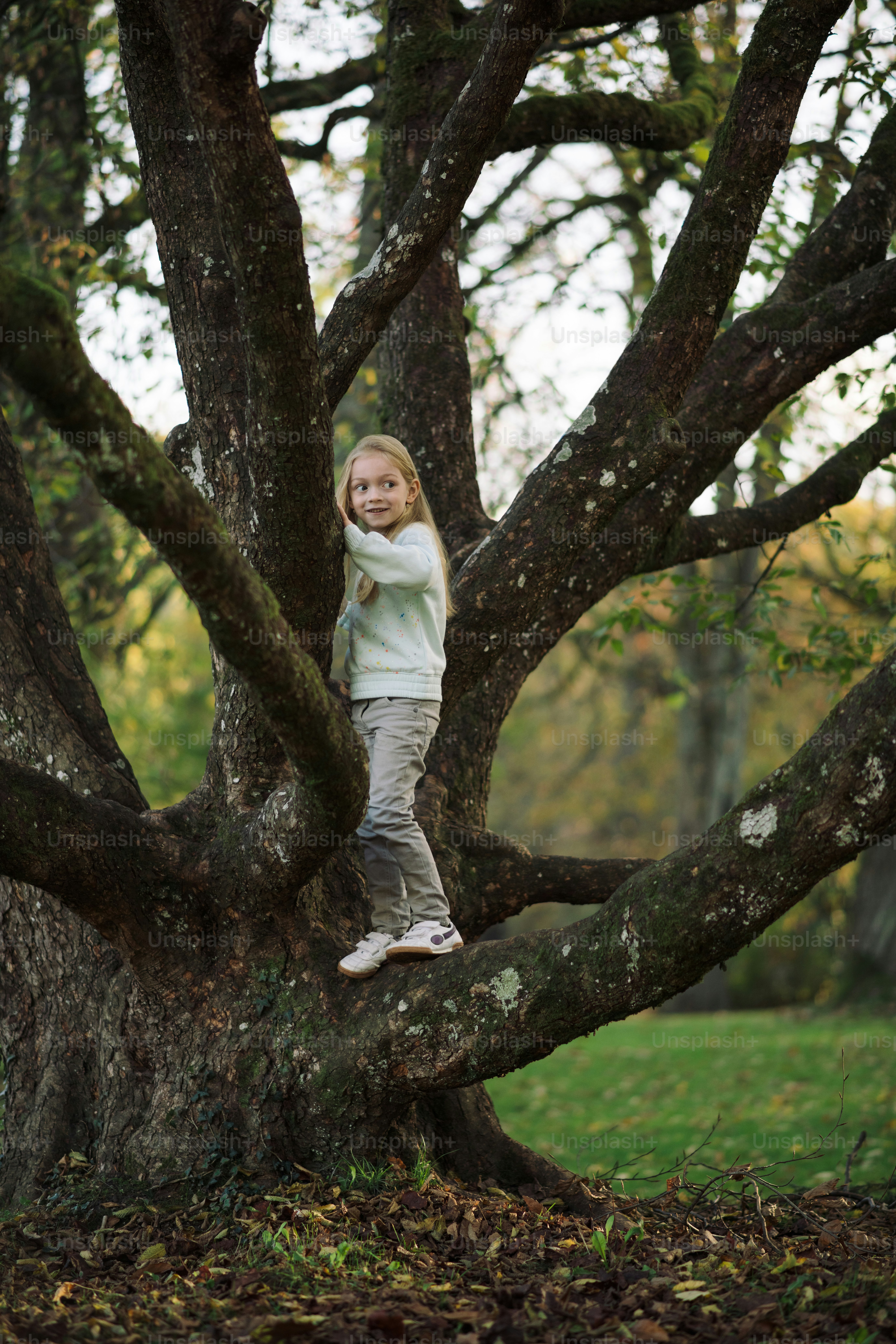 a little girl standing on a tree branch