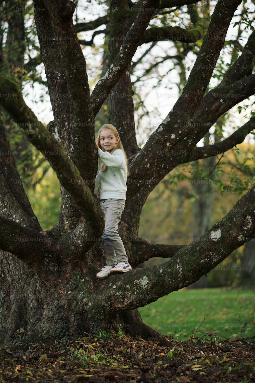 uma menina de pé em um galho de árvore