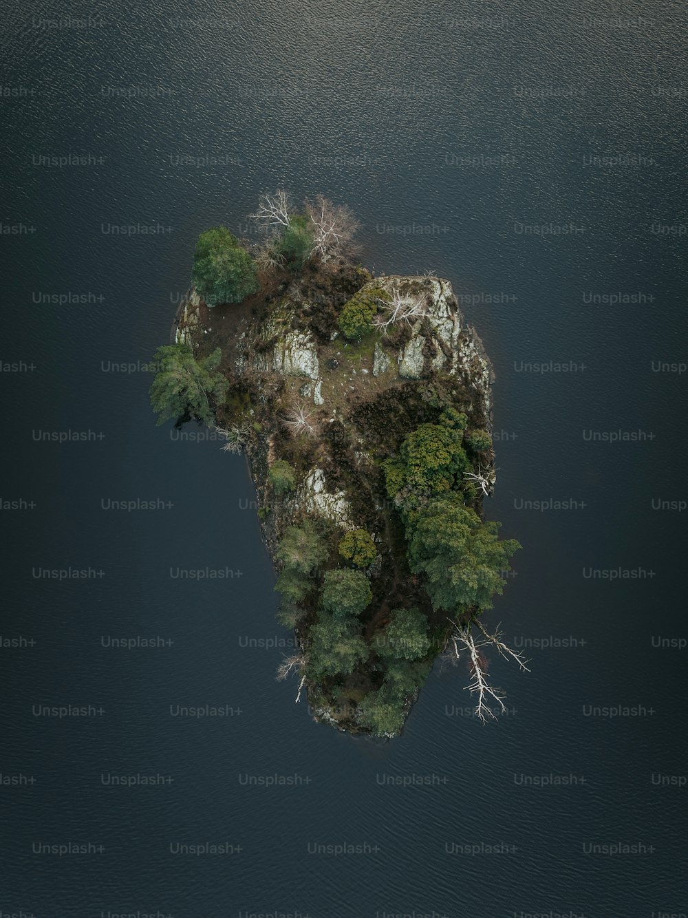 uma pequena ilha no meio de um corpo de água