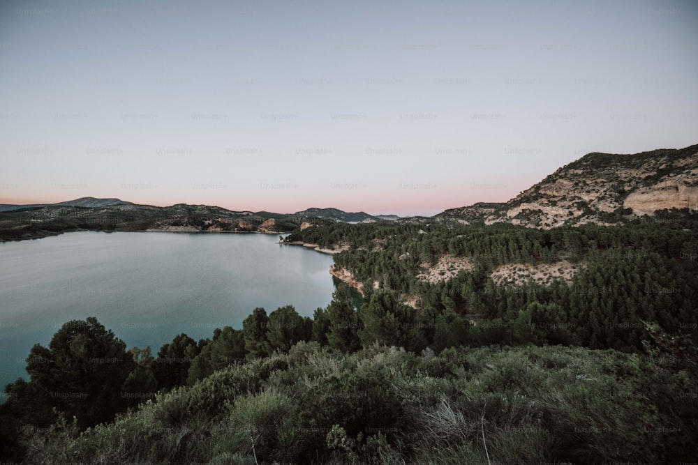 a large body of water surrounded by trees