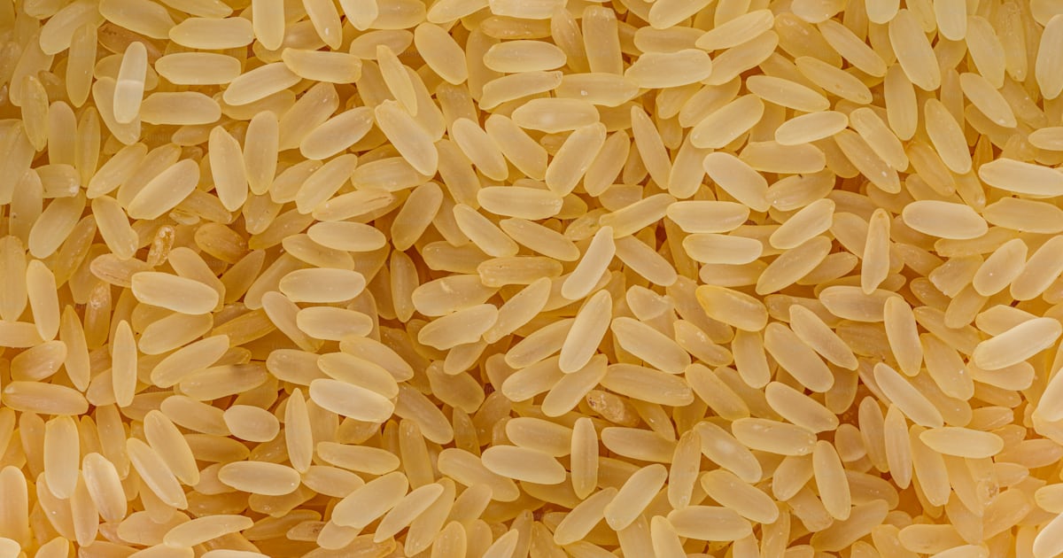 A close up of a pile of rice photo – Texture Image on Unsplash