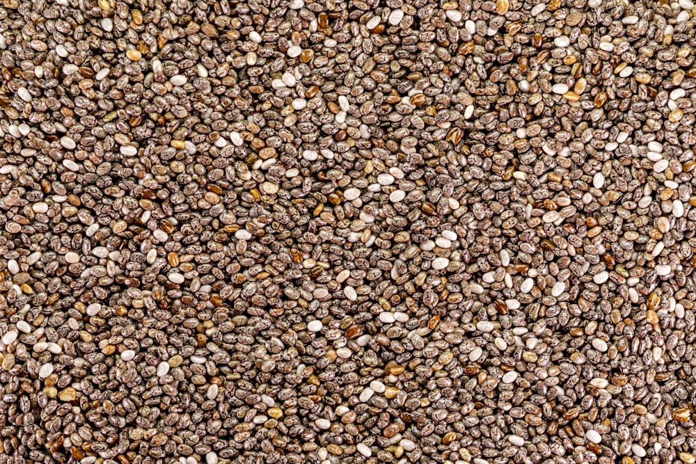 um close up de um monte de sementes