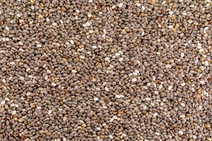 a close up of a bunch of seeds