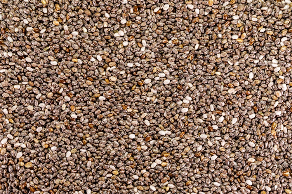 a close up of a bunch of seeds