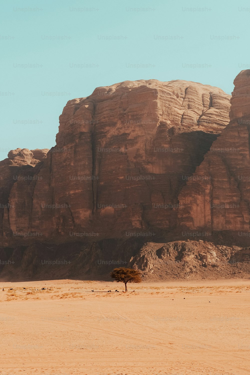 砂漠の真ん中にある大きな岩層