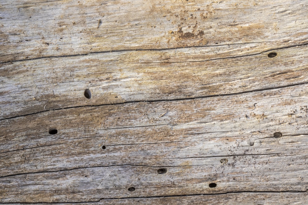 a piece of wood with holes in it