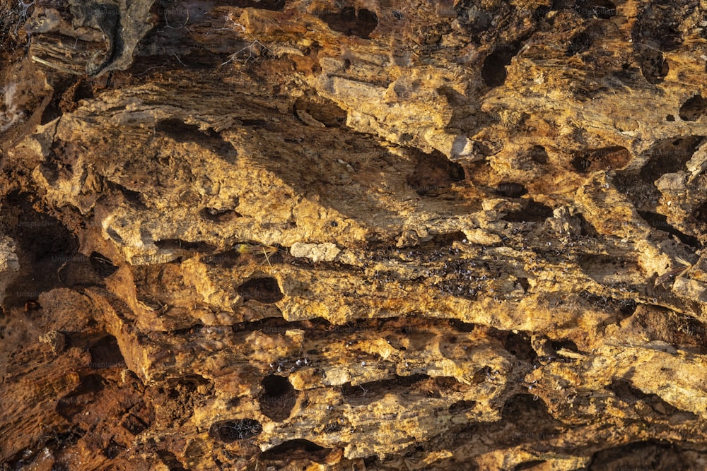 a bird is perched on a rock formation