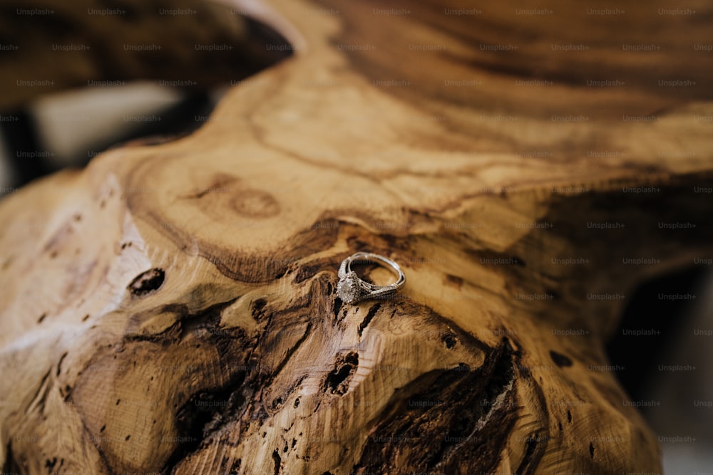 Un primer plano de un anillo en un trozo de madera