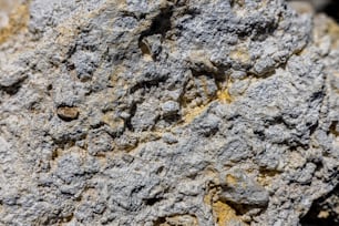 a close up of a rock with small holes in it