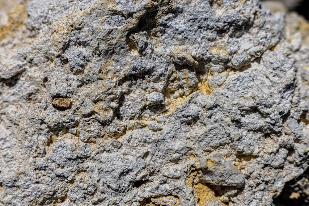 Un primer plano de una roca con pequeños agujeros en ella