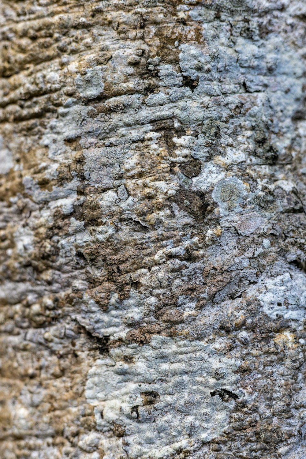 a close up of a tree trunk with a bird perched on top of it