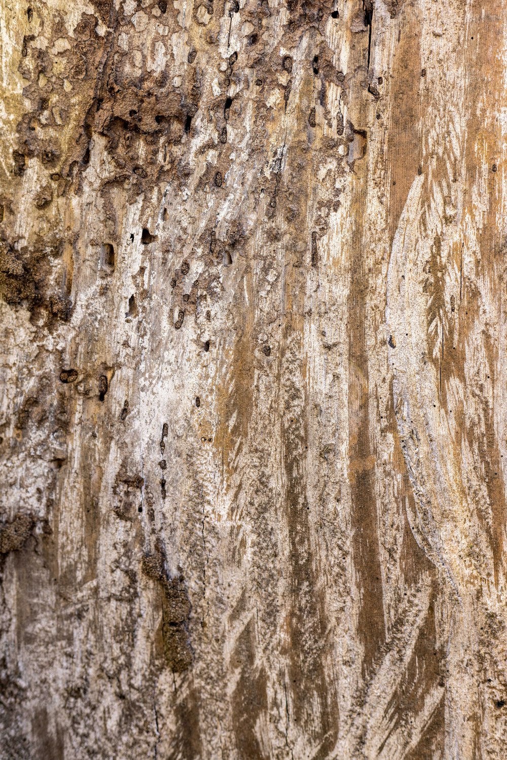 Un primo piano di una parete rocciosa con un uccello appollaiato su di esso