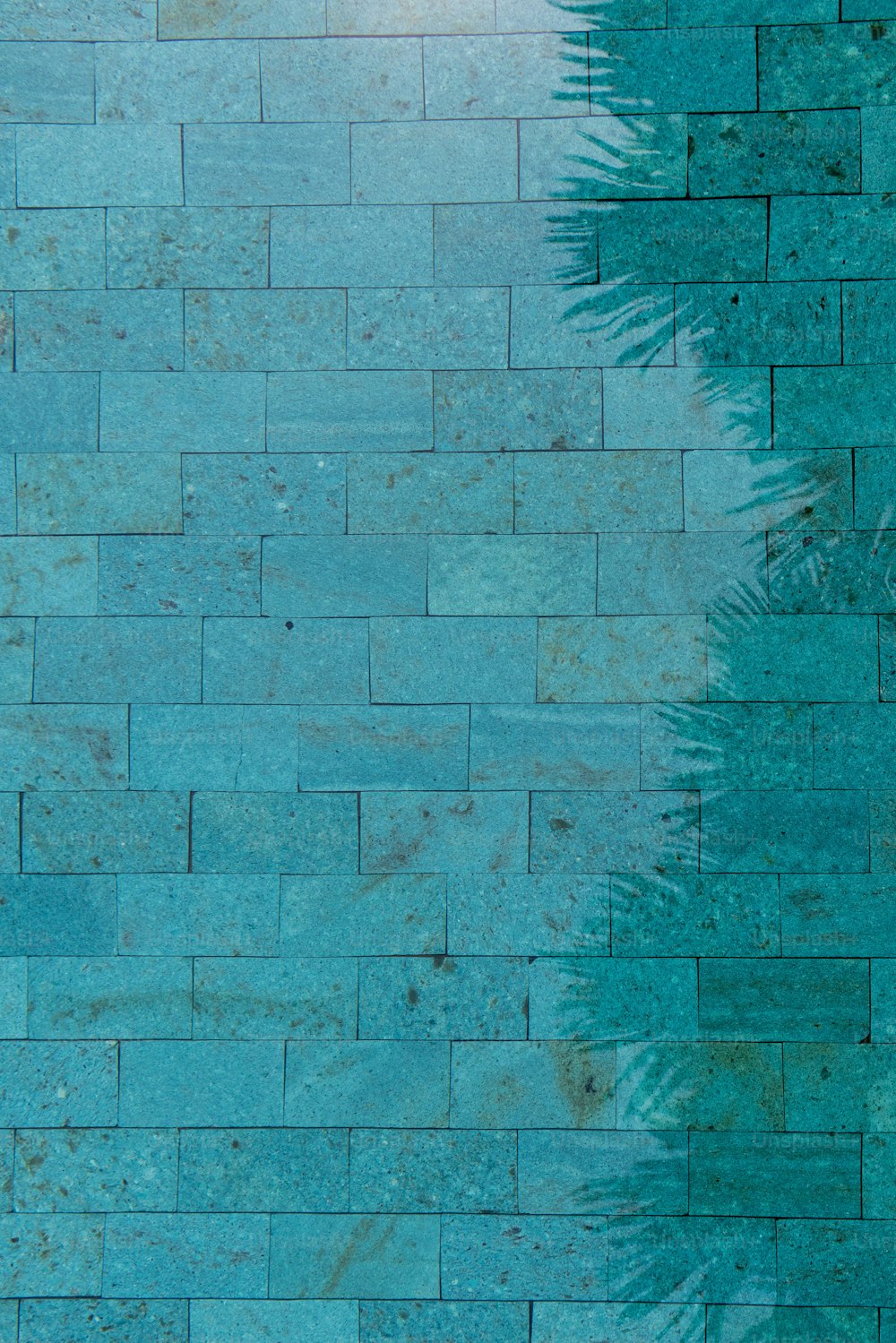 a blue brick wall with a palm tree painted on it