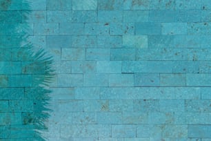 una pared de azulejos azules con una planta que crece fuera de ella