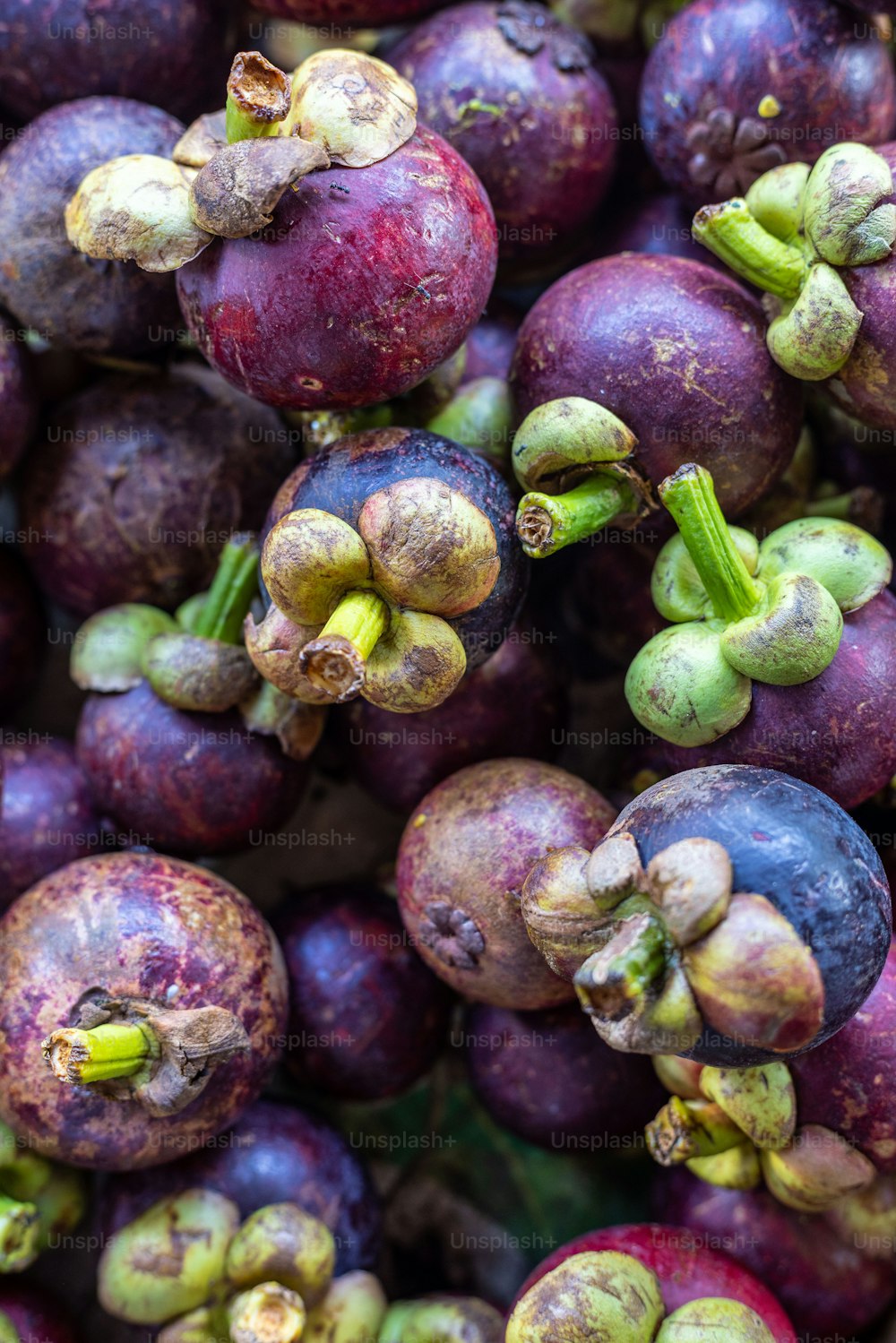 a close up of a bunch of purple fruit