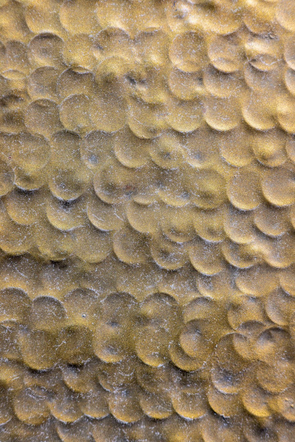 um close up de uma superfície texturizada com círculos