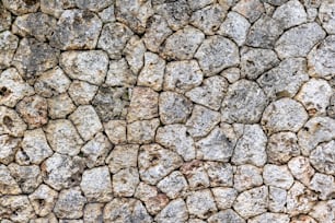 a close up of a stone wall with rocks