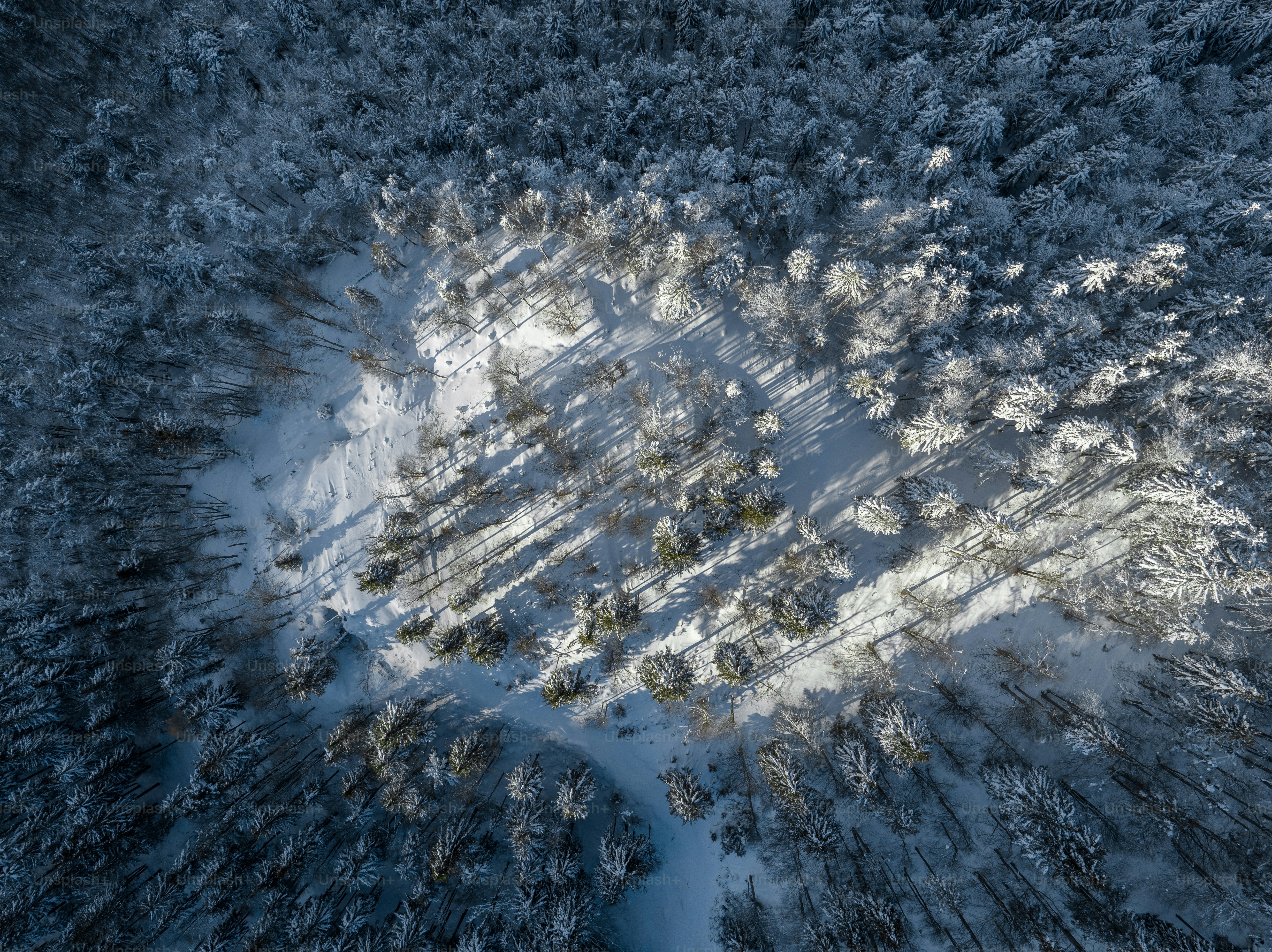 An aerial view of a snow covered forest photo – Wallpaper Image on Unsplash