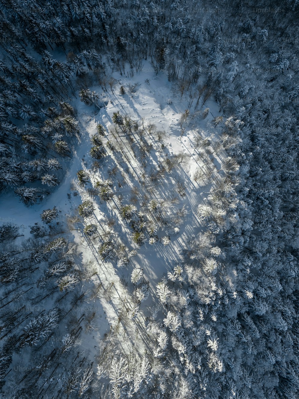 una veduta aerea di una foresta innevata