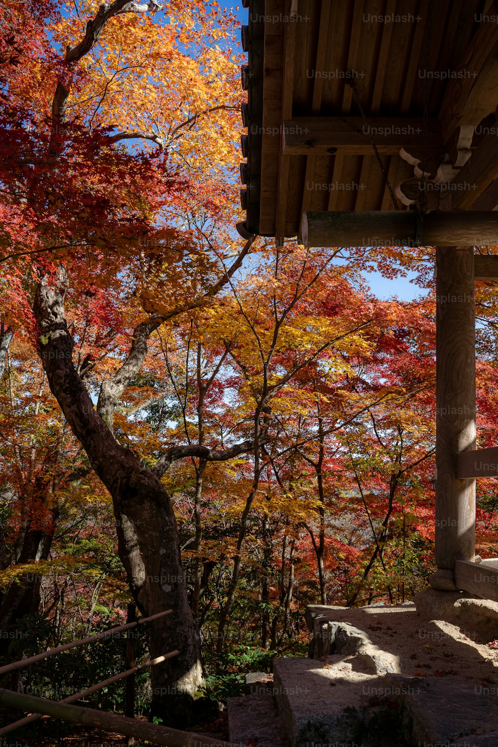 a porch with a tree in the background