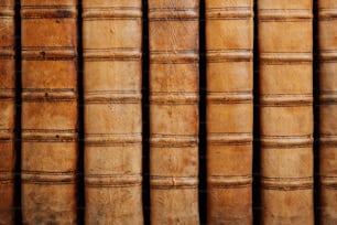 a row of old books lined up against a wall