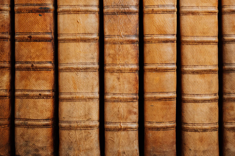 Dorsi di antichi volumi in pelle, biblioteca giuridica dello studio