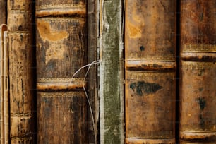 a close up of a bunch of old books