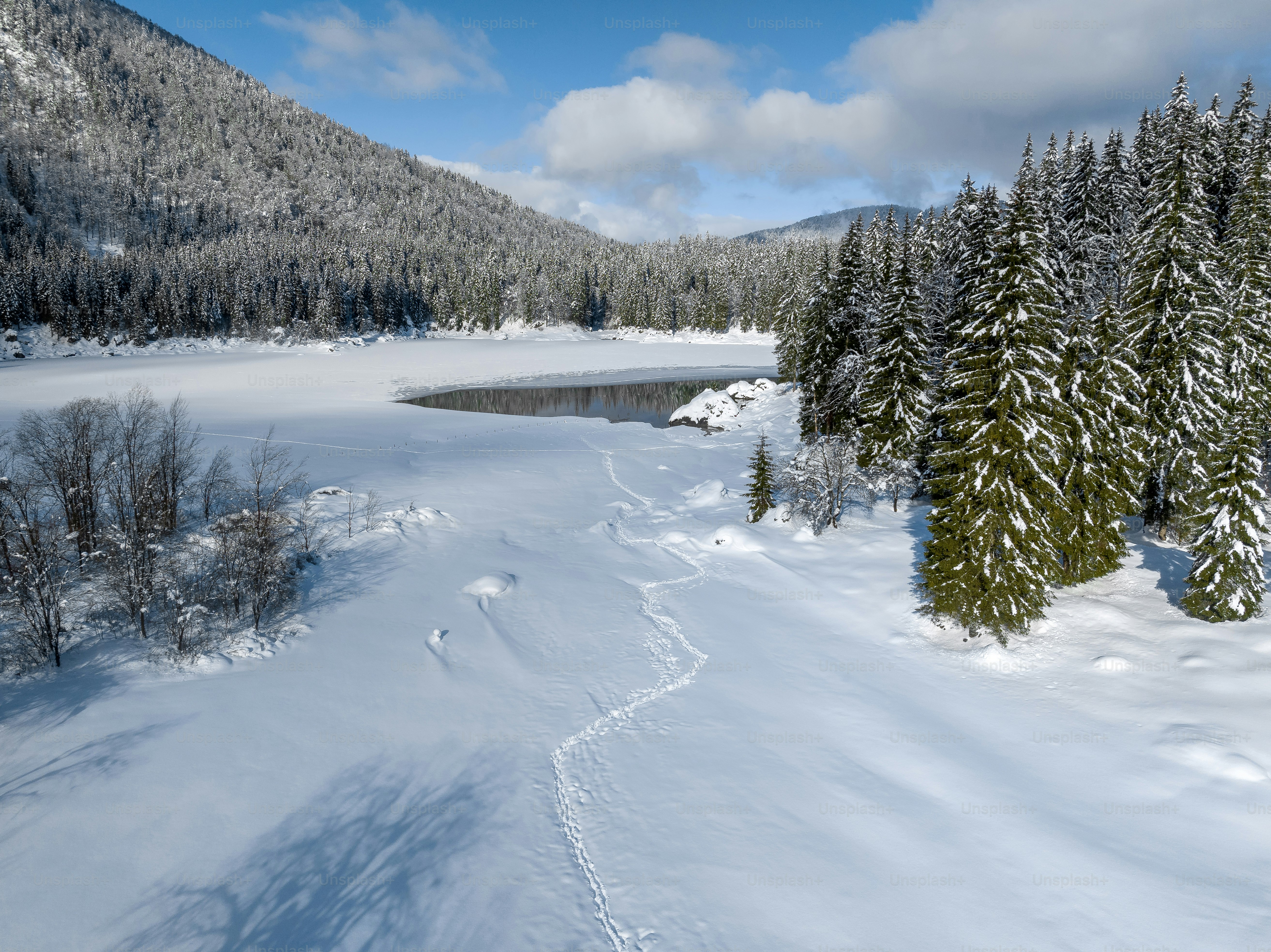 a snow covered field with trees and a body of water