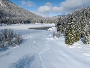 a snow covered field with trees and a body of water