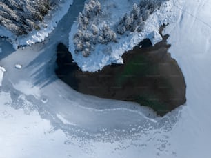 an aerial view of snow covered trees and a body of water