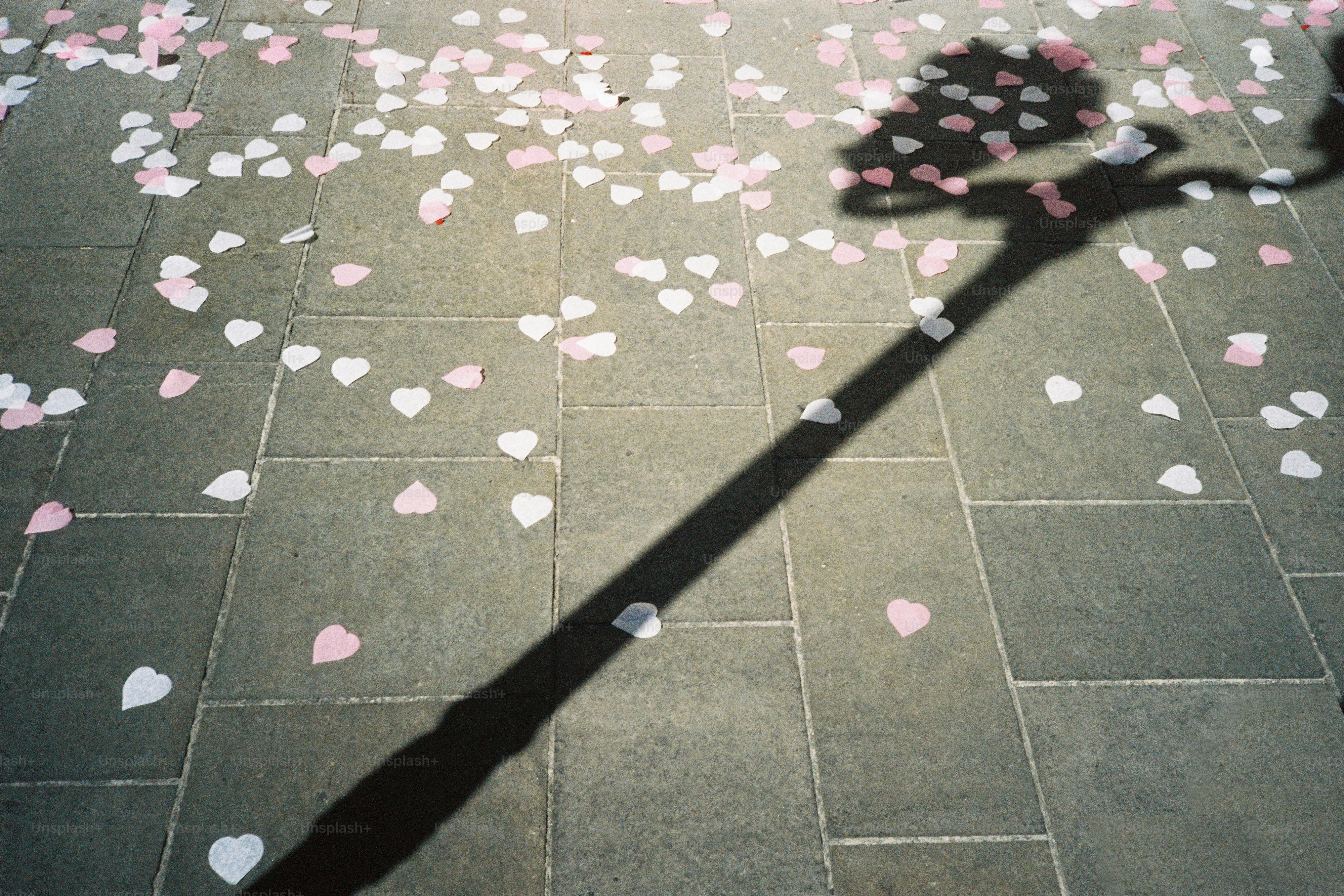 a shadow of a person holding a cell phone