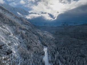 雪に覆われた山と川が流れる