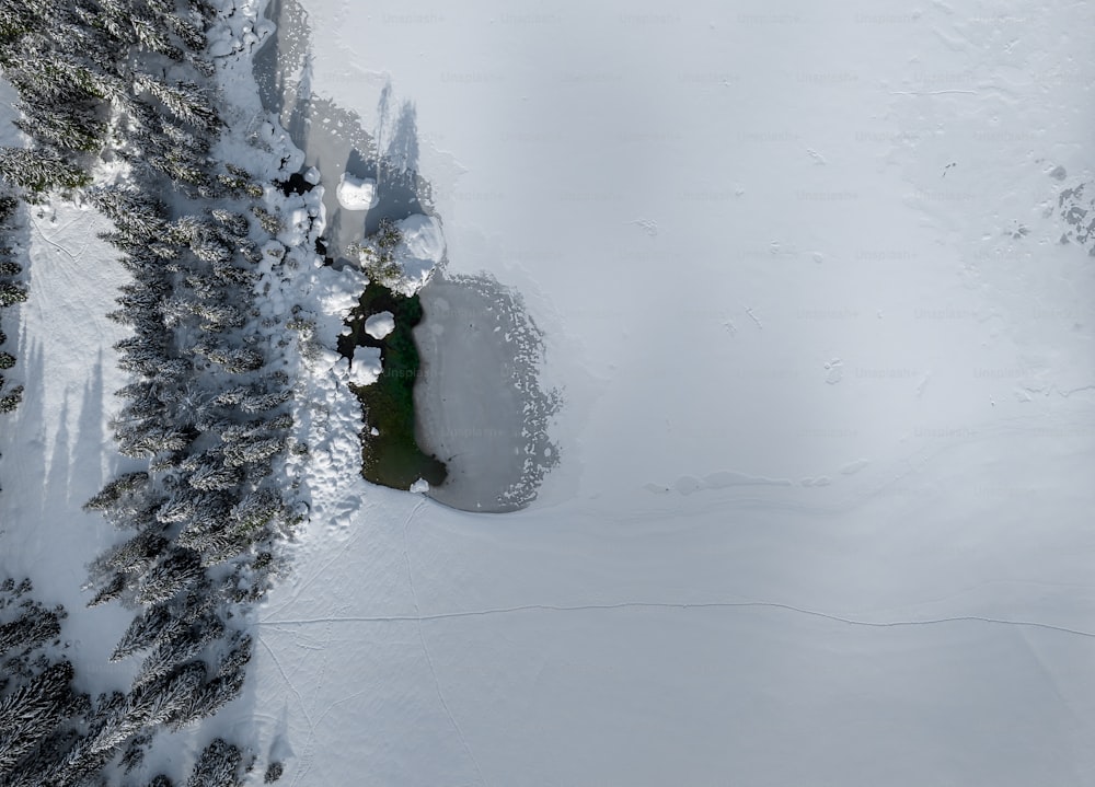 an aerial view of a snow covered forest